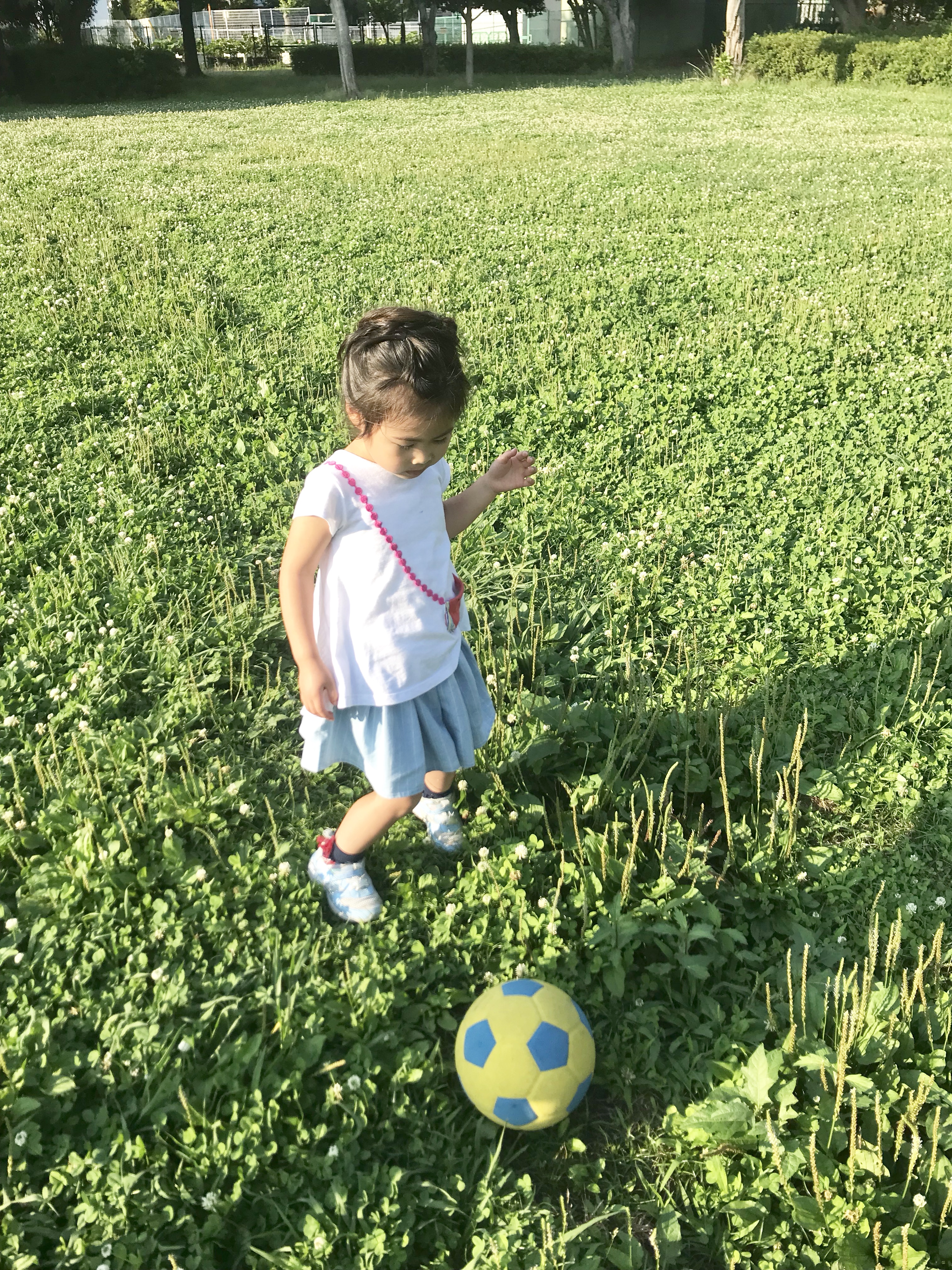 ボール遊びは禁止の最近の公園事情 遊び方を考えるのも アソビ かな サッカー人 柴田卓 のヘアケア美容師 ライフプランニングblog