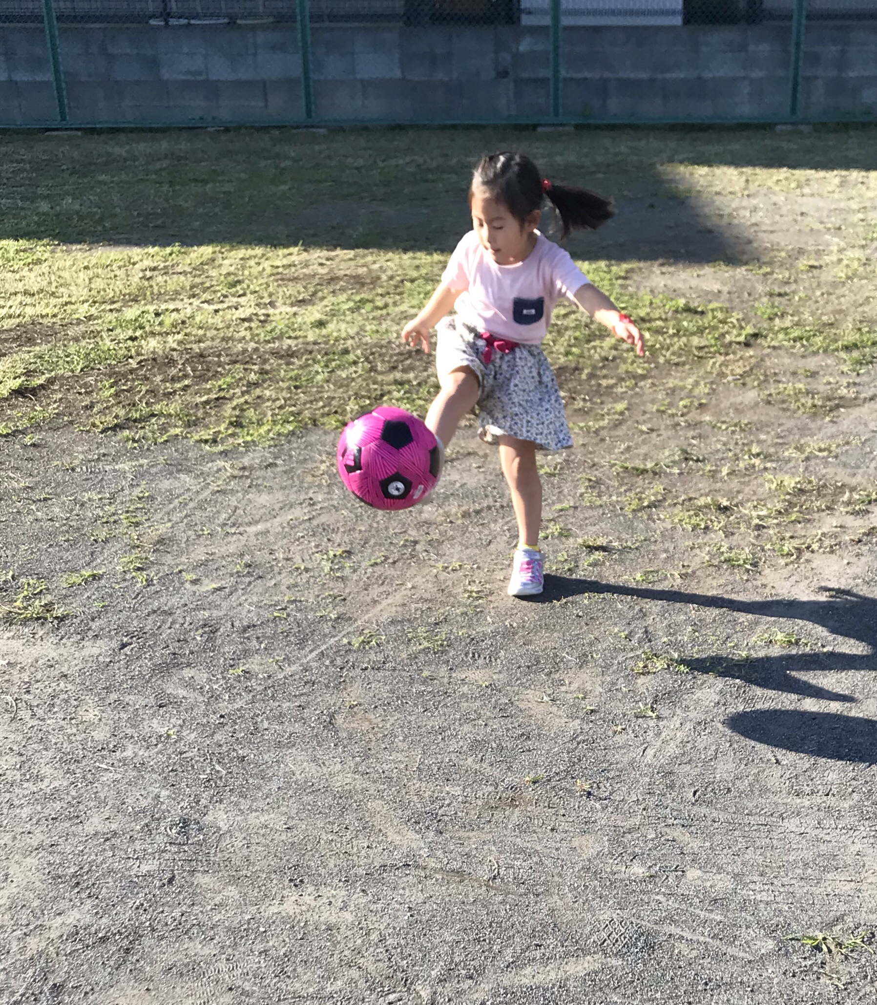 次女との家族日記 マイボールゲットでサッカーが遊びのレパートリーに サッカー人 柴田卓 のヘアケア美容師 ライフプランニングblog